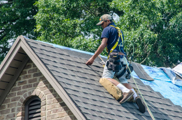 Best Gutter Installation and Roofing  in Booneville, AR